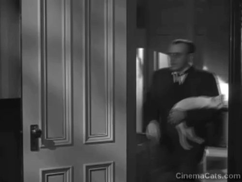 Lady on a Train - Saunders George Coulouris holding white cat Whitey with Nikki Deanna Durbin hiding behind door animated gif