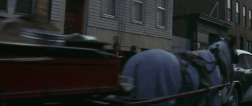 L’aine des Ferchaux - Magnet of Doom - brown tabby cat sitting in front of food market animated gif