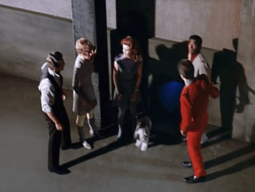 Land of the Giants - Double Cross - ginger tabby cat Scruffy looking through hole in wall at Burton Gary Conway, Mark Don Matheson, Dan Don Marshall, Betty Heather Young, Valerie Deanna Lund and dog Chipper animated gif