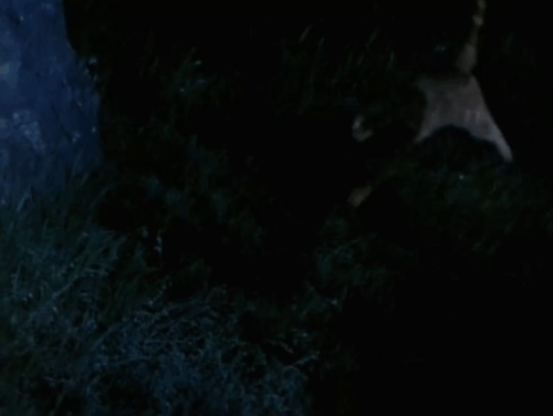 Land of the Giants - Double Cross - ginger tabby cat Scruffy running to and pawing at hole in wall animated gif