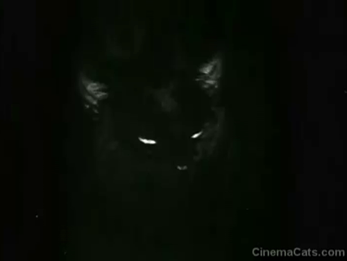 Land of the Open Range - black cat Lucifer eyes glowing in dark animated gif