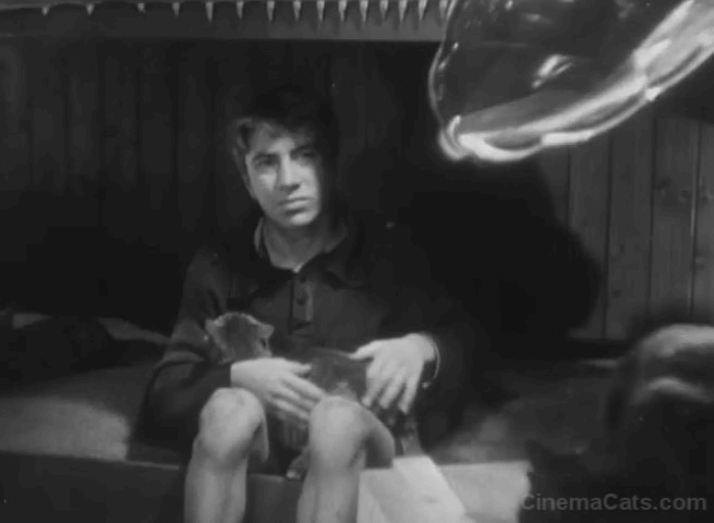 L'Atalante - cabin boy throws cat into checkers board animated gif