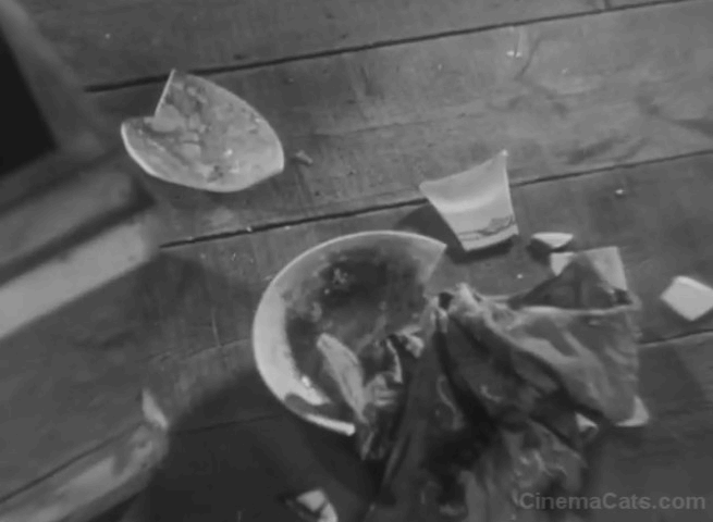 L'Atalante - cats running around broken dishes animated gif