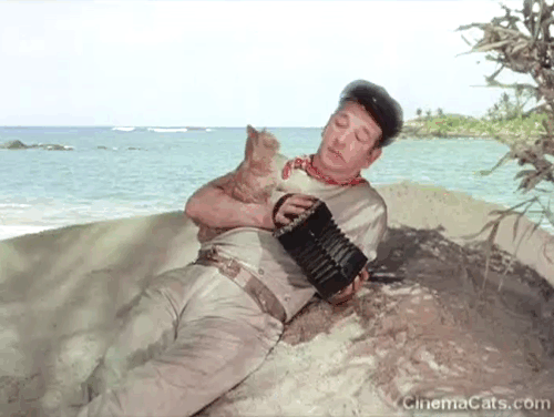 Laughing Anne - Nobby Ronald Shiner playing squeezebox for marmalade tabby cat Ginger on beach animated gif