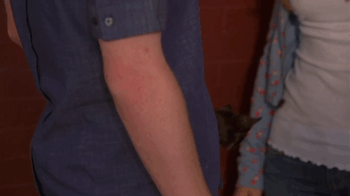 Lemonade Mouth - Olivia Bridgit Mendler given tortoiseshell kitten by Wen Adam Hicks animated gif