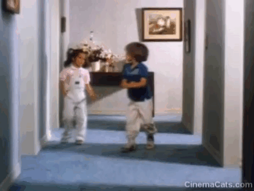Let's Give Kitty a Bath - ginger and white tabby cat running across hall from room to room with Adam Bucco and Amanda Jacobson animated gif