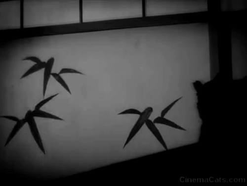 The Life of Oharu - silhouette of fake cat stealing wig animated gif