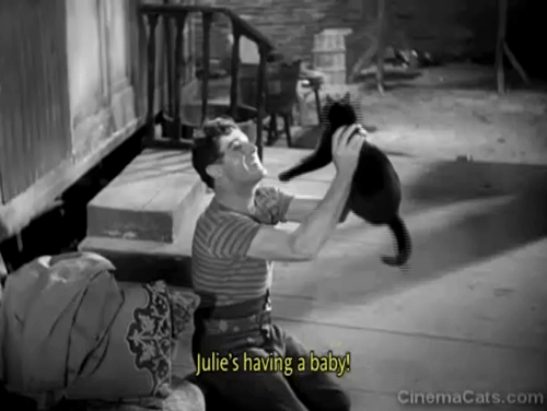 Liliom - Liliom Charles Boyer lifting and kissing a cat animated gif