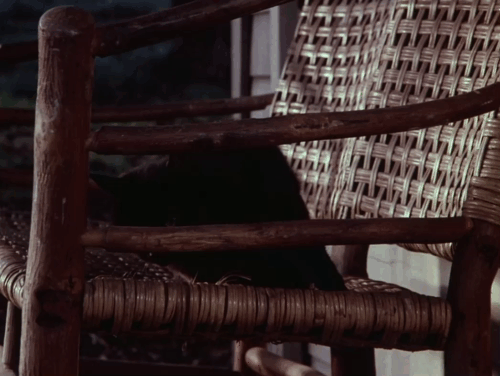 Little House on the Prairie - Days of Sunshine, Days of Shadows Part Two - black cat sitting on porch then running through front door with Laura Melissa Gilbert animated gif