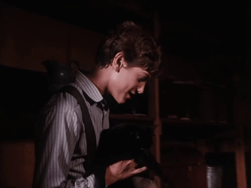 Little House on the Prairie - Gambini, the Great - Willie Jonathan Gilbert trying to shove black cat Pepper into mouth of makeshift cannon animated gif