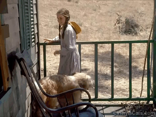 Little House on the Prairie - Haunted House - longhair black cat standing in window with dog Jack taking chase and Laura Ingalls Melissa Gilbert animated gif