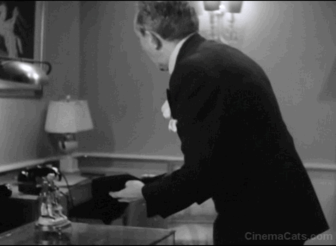 The Lone Wolf Takes a Chance - pearl necklace falls around black cat's neck animated gif