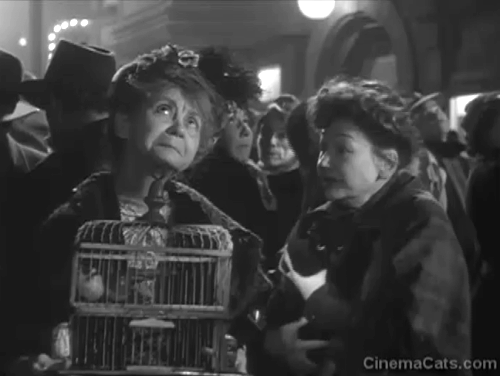 The Long Night - Mrs. Tully Queenie Smith holding black cat Napoleon on street with woman holding bird cage Ida Moore animated gif