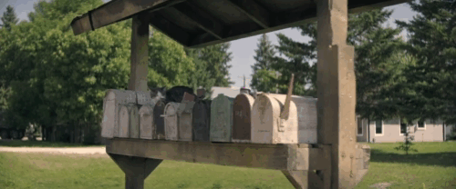The Long Walk - grey and white tabby cat Dory sitting on mailboxes animated gif