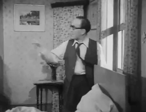 The Love Match - ginger and white cat running off cold frame as Brown Arthur Askey throws brush and breaks glass animated gif