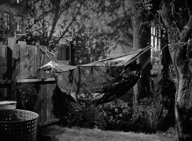 Love Nest - long haired tabby cat Suds jumps onto hammock animated gif