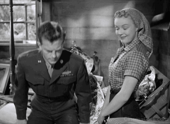 Love Nest - long haired tabby cat Suds jumps off bed animated gif