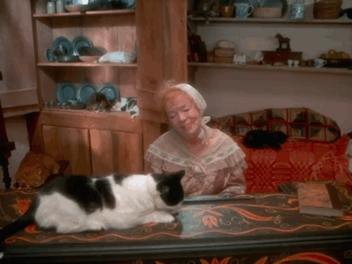 Love at Stake - Aunt Deliverence Norma MacMillan playing piano surrounded by cats animated gif