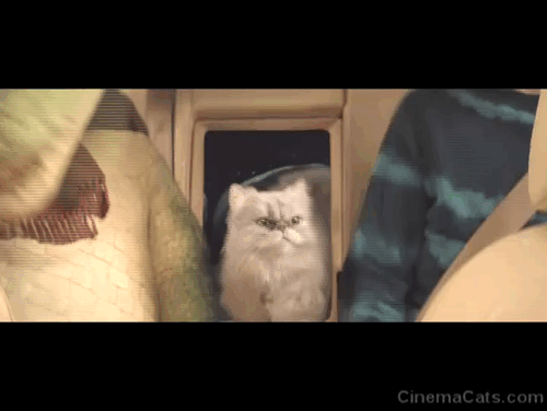 Lyle Lyle Crocodile - silver Persian longhair cat Loretta dancing in car with Lyle and Primms animated gif