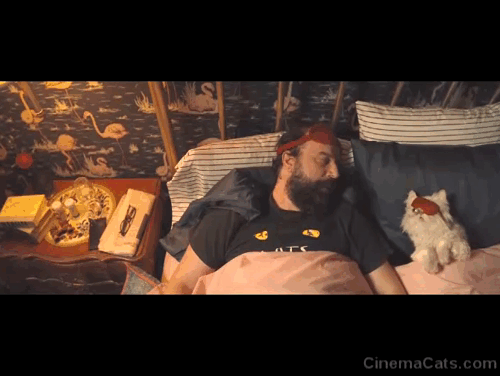 Lyle Lyle Crocodile - silver Persian longhair cat Loretta wearing eyemask in bed with Mr. Grumps Brett Gelman animated gif