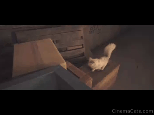 Lyle Lyle Crocodile - silver Persian longhair cat Loretta jumping onto dumpster with Josh Winslow Fegley and picking up pizza animated gif