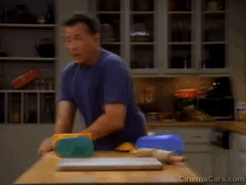 Mad About You - There's a Puma in the Kitchen - Paul Reiser playing peek a boo with cat puma animated gif