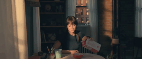 Madame Web - Cassandra Dakota Johnson pouring milk into bowl for longhair tabby and white cat animated gif