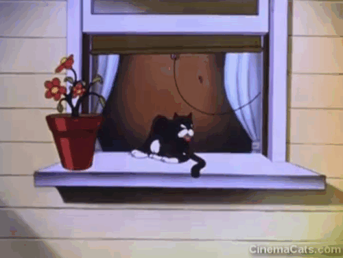 The Mad Hatter - cartoon black cat on windowsill reacts to woman passing by in crazy hat animated gif