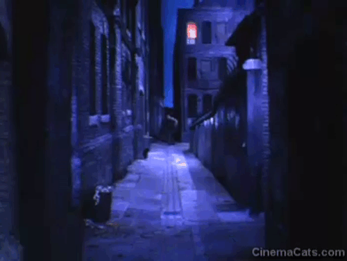The Magic Box - black cat running up alley ahead of William Friese-Greene Robert Donat animated gif