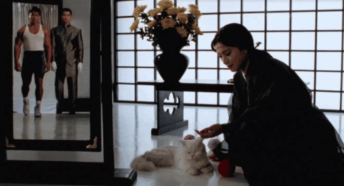 Magic Cop - Qu mo jing cha - longhair white cat and Sorceress Michiko Nishiwaki rolling red ball with Eddie Frankie Chi-Leung Chan and guard animated gif