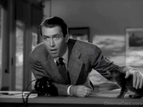 Magic Town - tabby kitten Panther being petted by Rip James Stewart animated gif