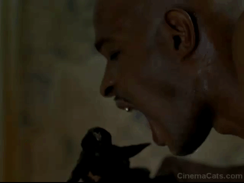 Major Payne - Damon Wayans scaring away black cat in window animated gif