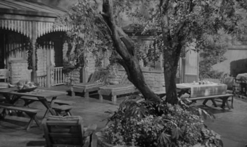 Make Haste to Live - bicolor cat on outside table animated gif