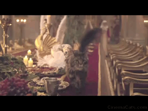 Maleficent Mistress of Evil - tabby cat frozen in midair by Maleficent Angelina Jolie with Diaval Sam Riley the released animated gif
