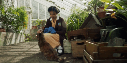 Malory Towers - The Quiz - Ellen Carys John feeding kippers to torbie cat Kenny animated gif