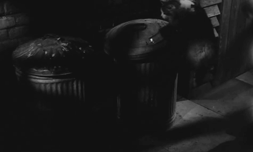 The Man in the Back Seat - longhair bicolor cat knocking lid off trash can before Jean Carol White appears animated gif
