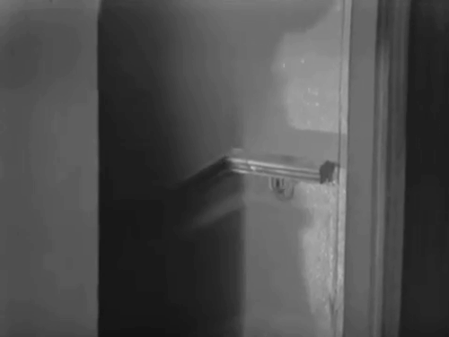 A Man Called Harry Brent - Episode 2 Jacqueline - porter John Horsley holding tuxedo cat