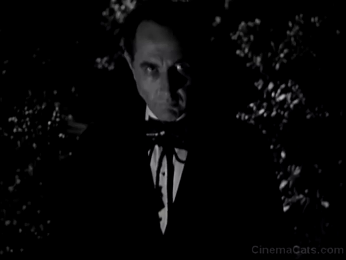 Man from U.N.C.L.E. - The Bow-Wow Affair - Delfgrovia Paul Lambert looking up at hissing tabby cat animated gif