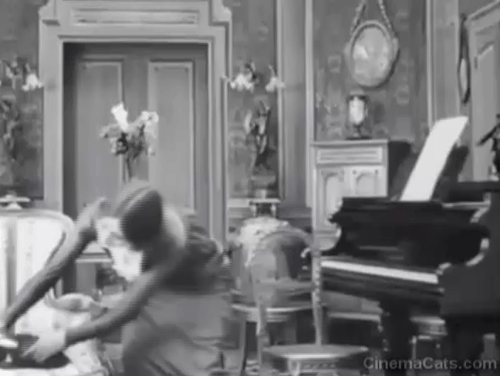 Max Doesn't Like Cats - Lucy d'Orbel with longhair tabby cat playing piano animated gif