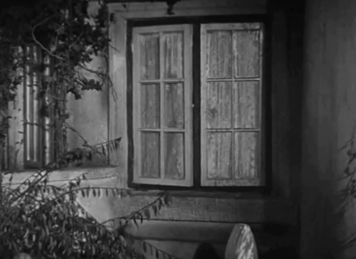 Medal for the General - McNab John Laurie holding black cat in window with milk lady animated gif