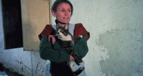 Memories Within Miss Aggie - camera panning in on tabby and white cat in Deborah Ashira's arms animated gif