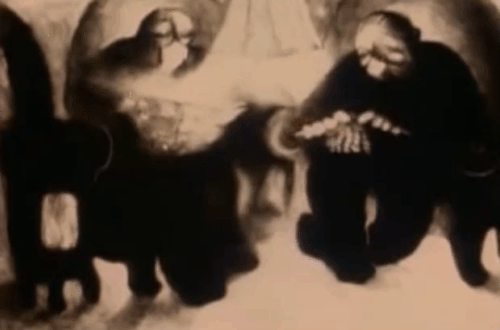 The Metamorphosis of Mr. Samsa - black cat moving around legs of parents in sitting room