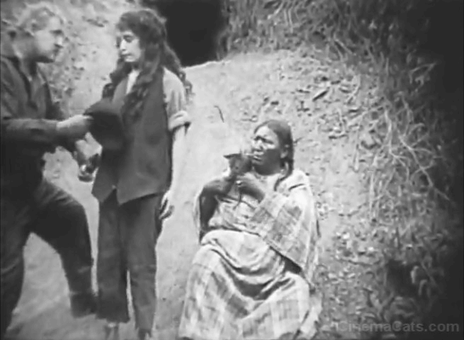 Mickey - Minnie Devereaux fumbling tabby cat with Mabel Normand and George Nichols animated gif