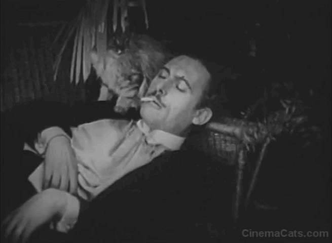 Mickey - long-haired cat runs over Reggie Lew Cody animated gif