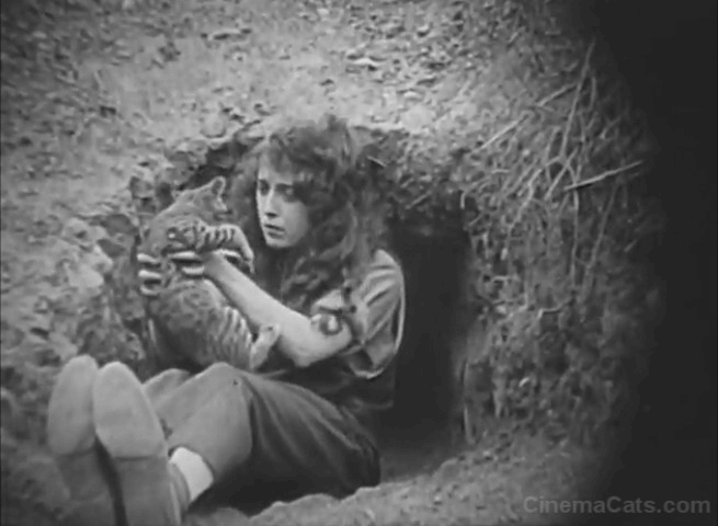 Mickey - Mabel Normand dusting off tabby cat animated gif