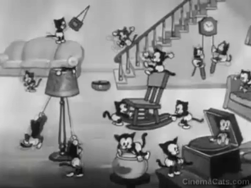 Mickey's Orphans - black kittens playing all around house animated gif