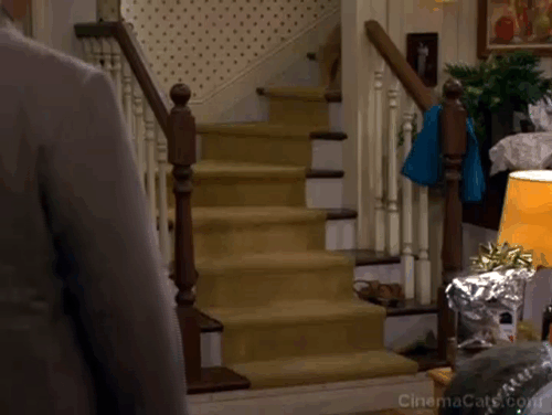 Mike and Molly - The Honeymoon is Over - cats running down stairs animated gif