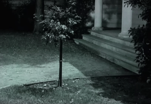 The Milkman - numerous tabby cats running toward milk truck animated gif