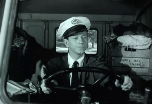 The Milkman - Roger Donald O'Connor startled by numerous cats while driving milk truck animated gif