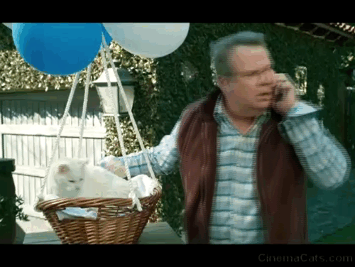 Modern Family - I'm Going to Miss This - Cameron Eric Stonestreet lets go of white cat Larry Frosty in basket tied to balloons saved by Lily Aubrey Anderson-Emmons animated gif